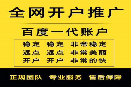 百度竞价赚钱秘诀：实战案例分析